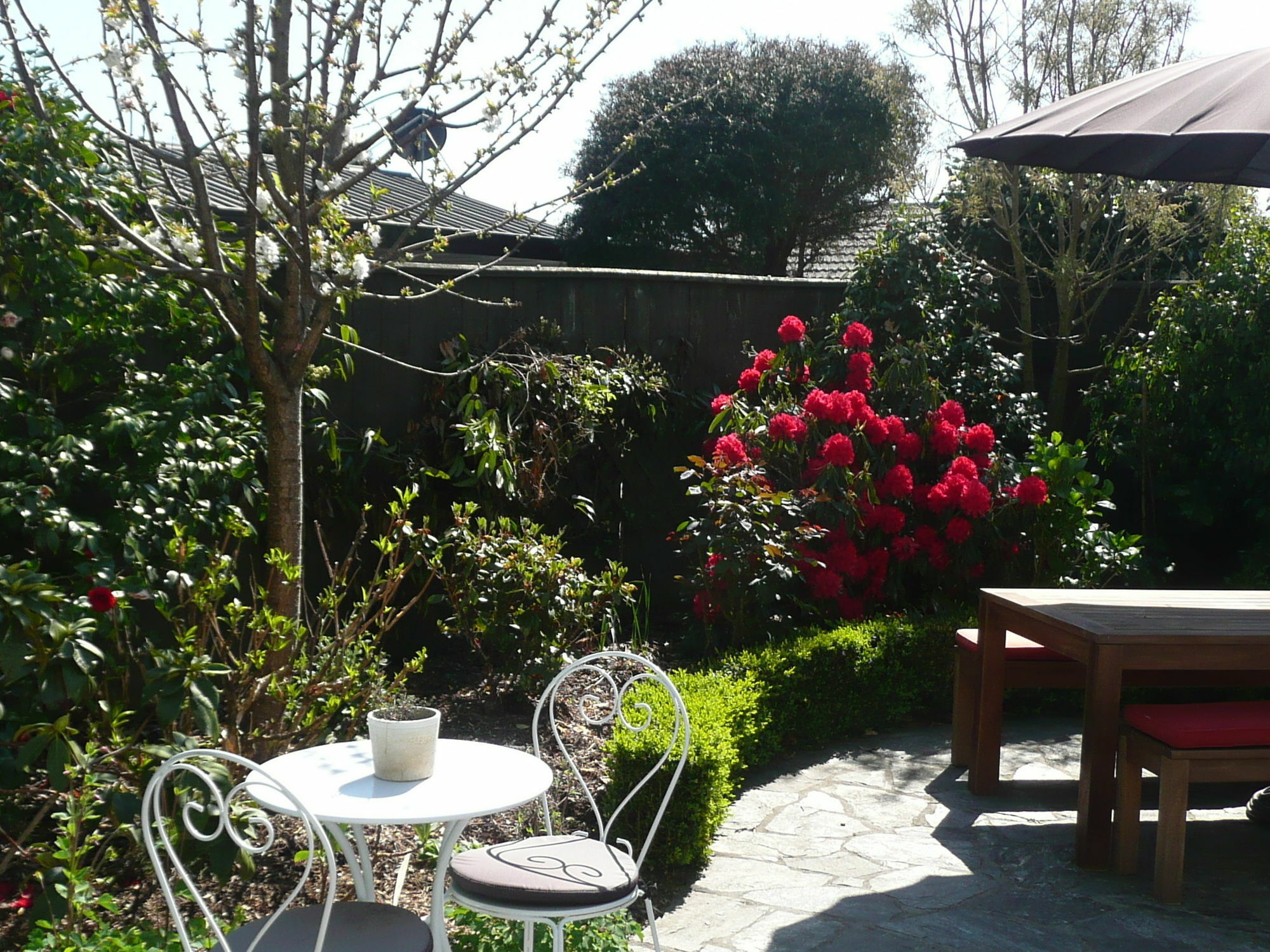 Bed and Breakfast Kershaw House Richmond Zewnętrze zdjęcie