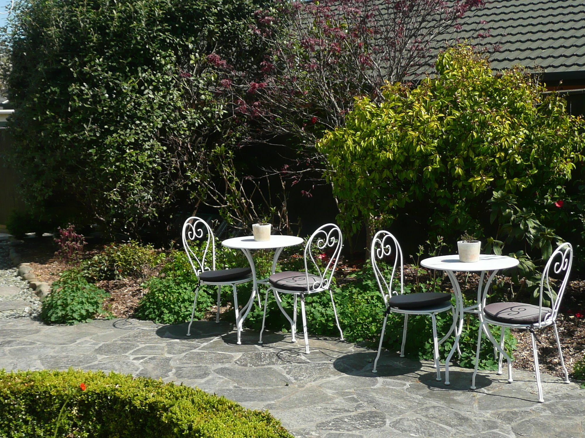 Bed and Breakfast Kershaw House Richmond Zewnętrze zdjęcie